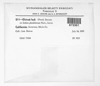 Image Associated With the Occurence